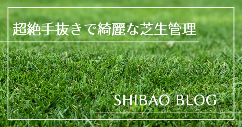 芝生の超絶手抜き管理 サッチング 年一回で充分でしょ Shibaoblog