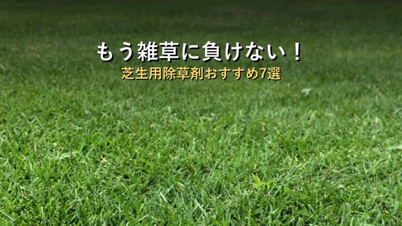 芝生用除草剤おすすめ7選｜雑草タイプ別の選び方